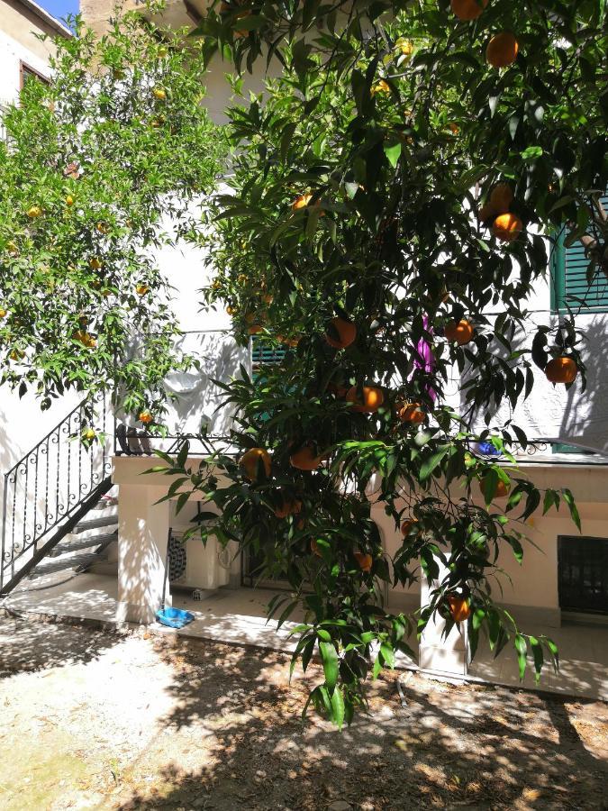 פלרמו Garden House: Apartments And Rooms For Holidays מראה חיצוני תמונה